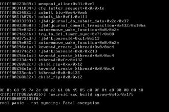 Kernel Panic